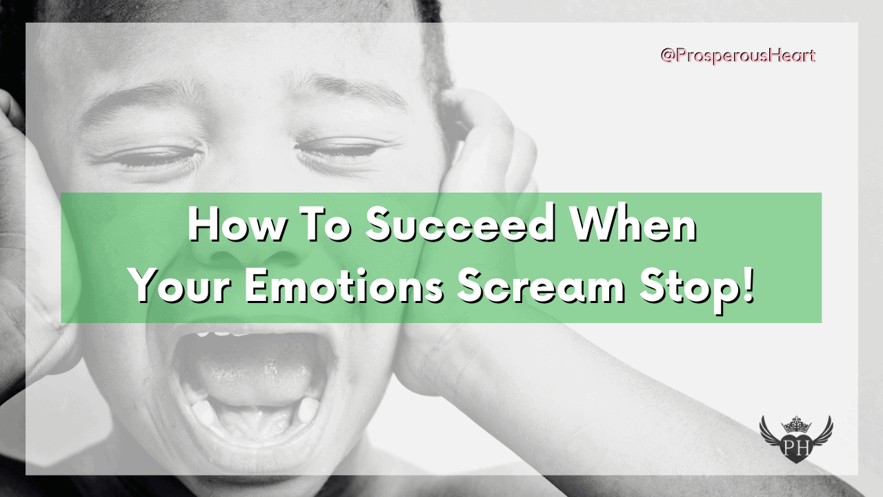 How To Succeed When Your Emotions Scream Stop!